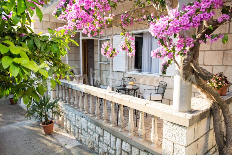Apartament Fabri 1