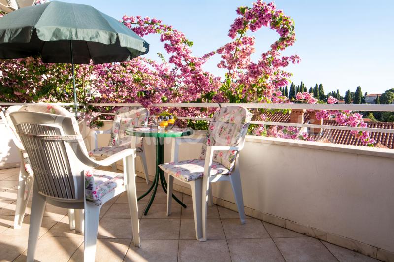 Apartament Fabri 2