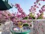 Apartament Fabri 2