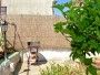 Apartament Aurelija 3