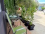 Apartament Karlo 3